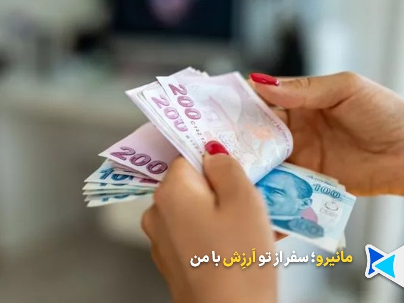 حمل پول در سفر