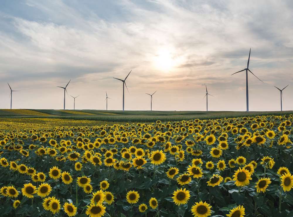 امارات در اجلاس جهانی اقتصاد سبز ۲۰۲۵ نقش رهبری خود در توسعه پایدار را تثبیت کرد