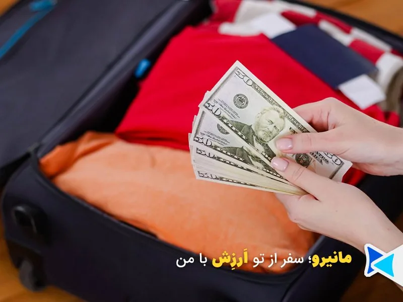 حفاظت پول کش