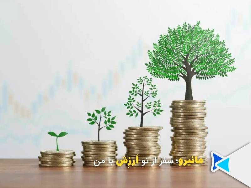 سرمایه گذاری کوچک