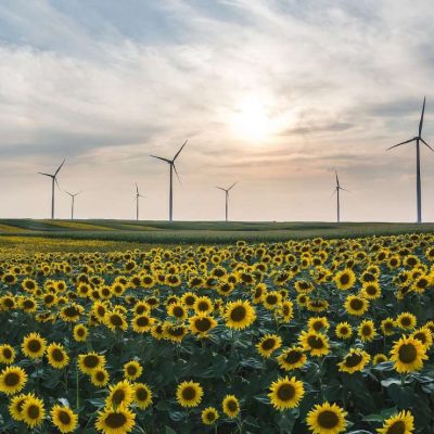 امارات در اجلاس جهانی اقتصاد سبز ۲۰۲۵ نقش رهبری خود در توسعه پایدار را تثبیت کرد