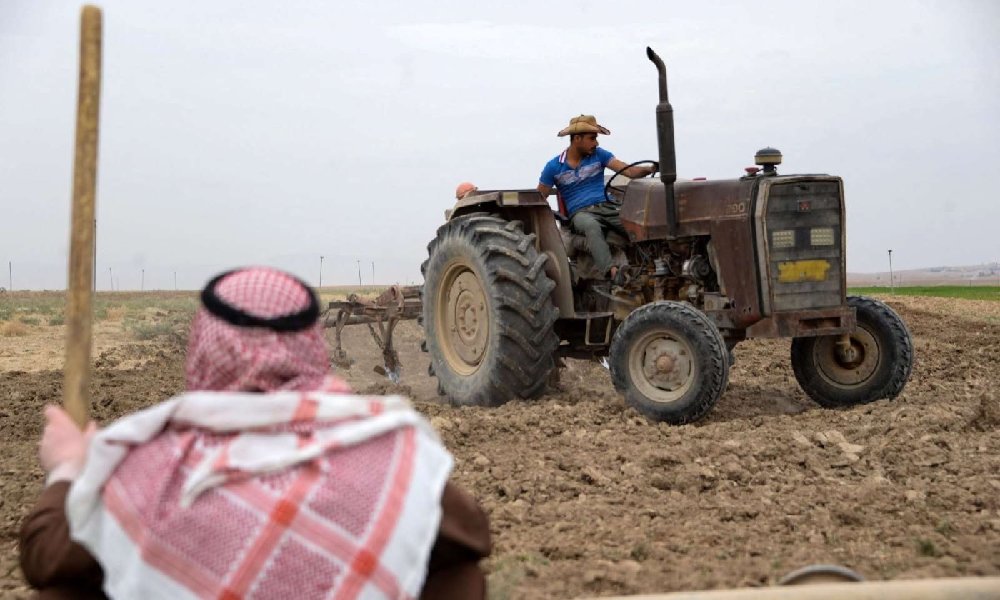 The Impact of Agriculture on Iraq’s Economy