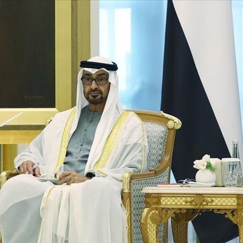 UAE, Pakistan Leaders Discuss Expanding Economic and Energy Cooperation